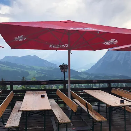 White Rose In Kulmhof *