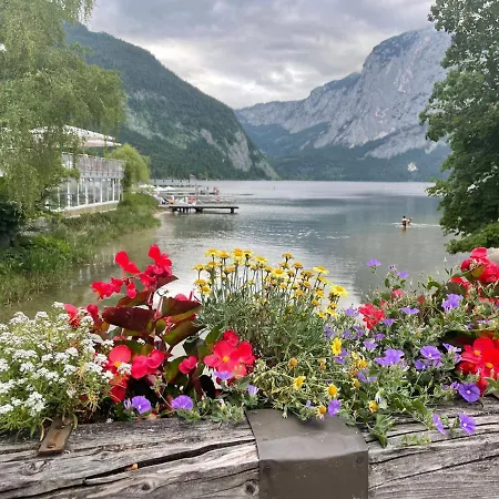 White Rose In Kulmhof