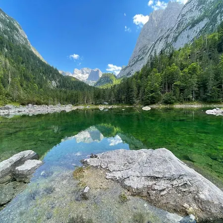 White Rose In Kulmhof
