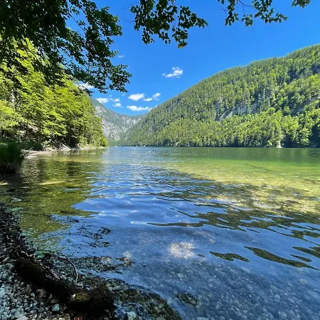 White Rose In Kulmhof * Tauplitz