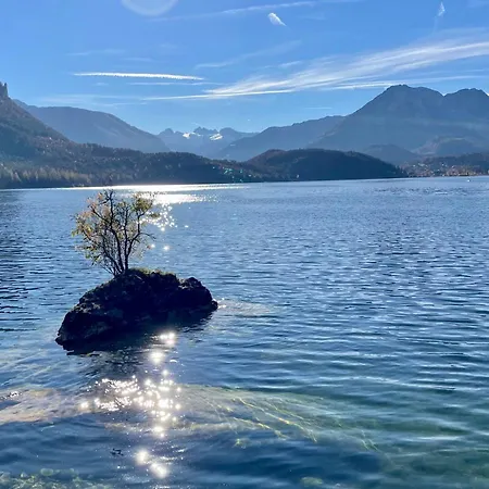 White Rose In Kulmhof