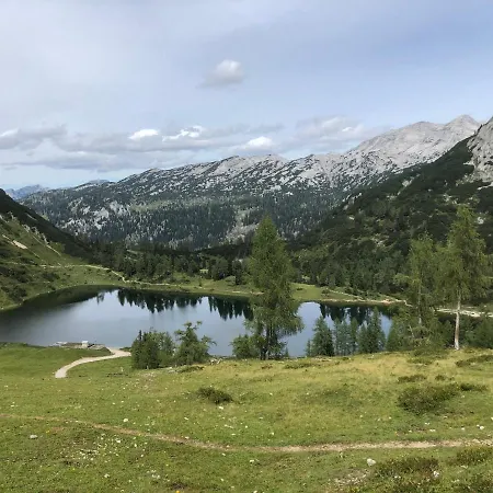 White Rose In Kulmhof *