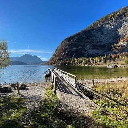 White Rose In Kulmhof *
