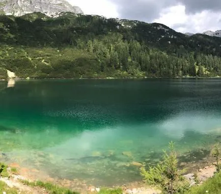 White Rose In Kulmhof