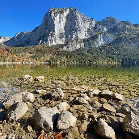 White Rose In Kulmhof * Тауплиц