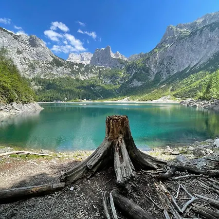 Апартаменты White Rose In Kulmhof *