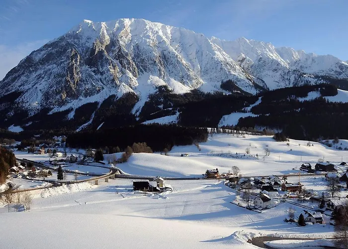 White Rose In Kulmhof *