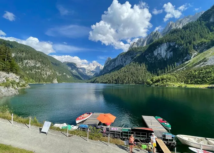 White Rose In Kulmhof *