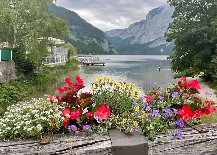 White Rose In Kulmhof