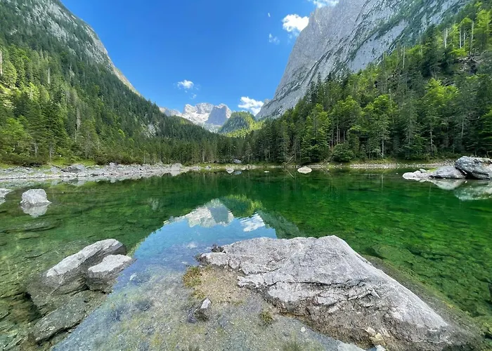 White Rose In Kulmhof
