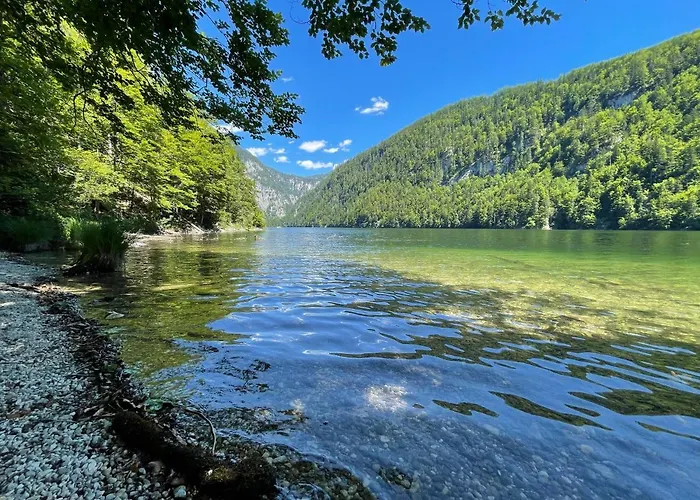 White Rose In Kulmhof * Tauplitz
