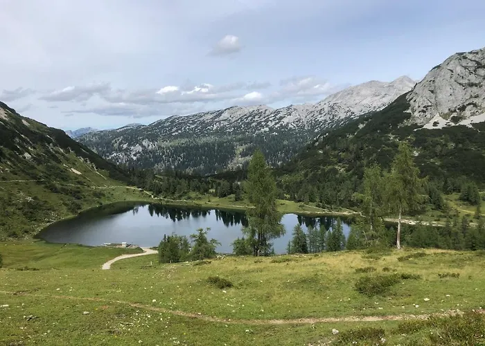 White Rose In Kulmhof *