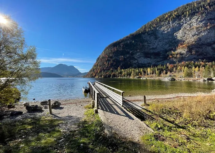 White Rose In Kulmhof *
