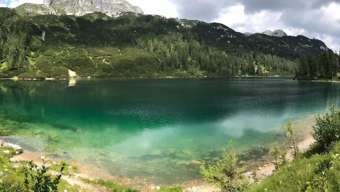 White Rose In Kulmhof