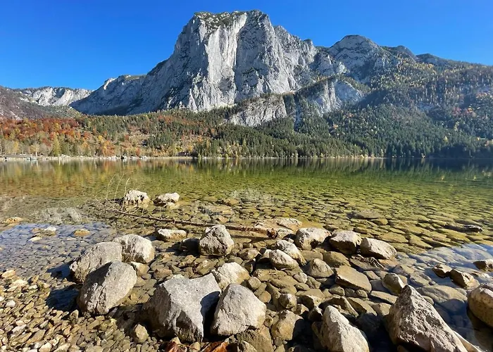 White Rose In Kulmhof * Tauplitz