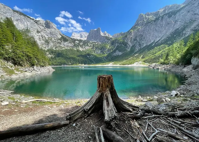 شقة White Rose In Kulmhof *