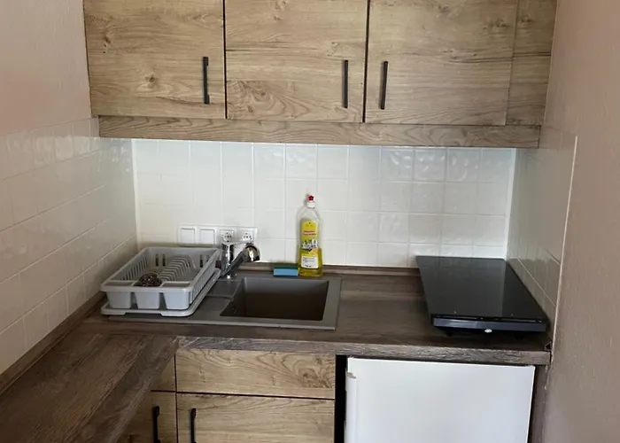 公寓 White Rose In Kulmhof 陶普利茨